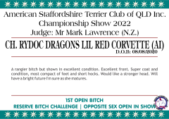 11.A. CH. RYDOC DRAGONS LIL RED CORVETTE (AI).png